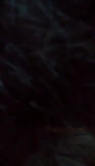 sathi bithi bengali tango show 2