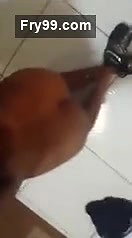 Indian Cute Girl Blowjob – Movies