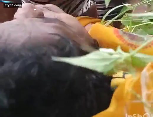 Desi Village Lover Out Door Fucking (Updates)