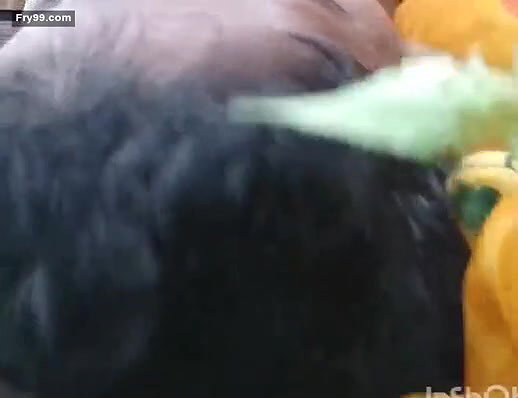 Desi Village Lover Out Door Fucking (Updates)