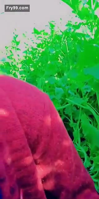 Outdoor Fun 3clips marged