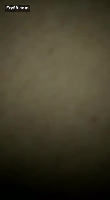 Cute girl outdoor fun