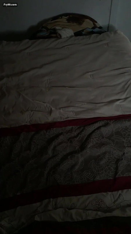 NRI Girl With White Boyfriend – Movies