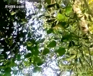 Pakistani Sindhi Couple Sex – Movies