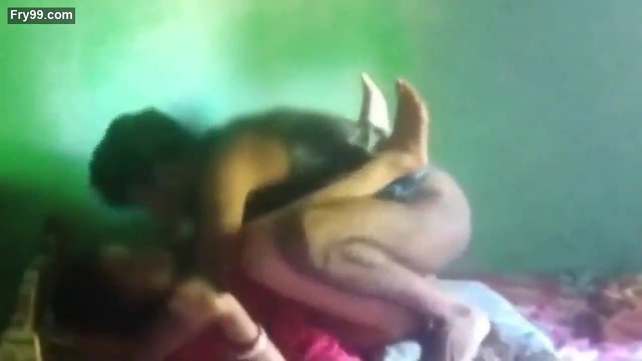 Desi Dewar Bhabhi Sex 8CLIPS marged