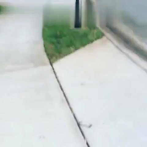 Laureen Pisciotta OnlyFans Leaks 1