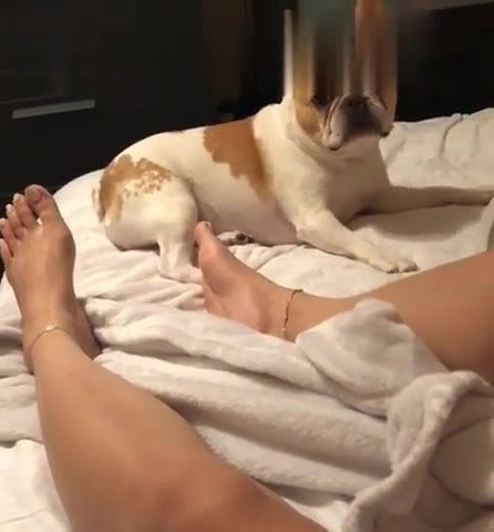 LindaBooxo Onlyfans Leaks (2 Videos) 2
