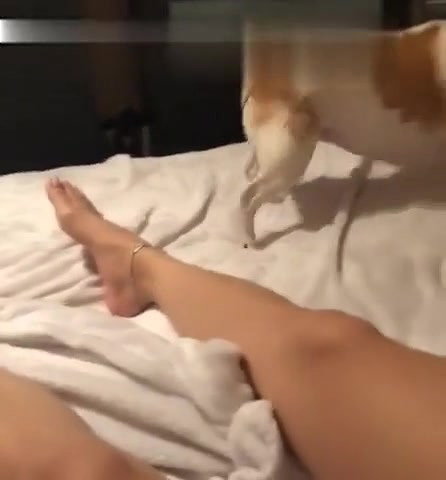 LindaBooxo Onlyfans Leaks (2 Videos) 2