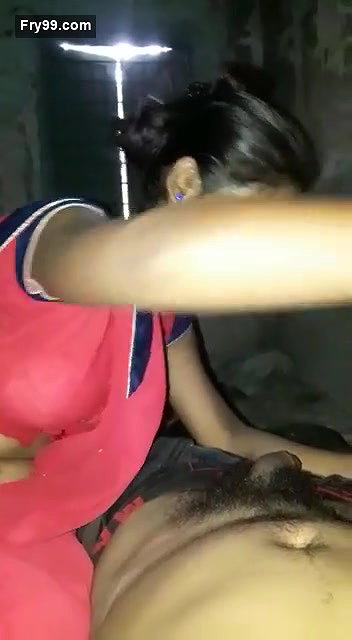 Beautiful bhabhi blowjob