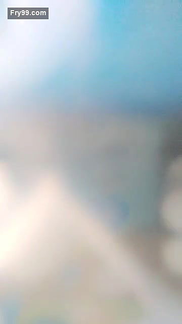 Tom and Jerry Fucking in Live