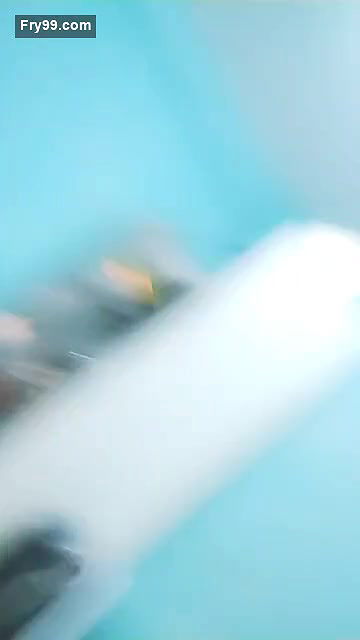 Tom and Jerry Fucking in Live