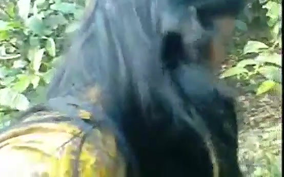 Kanpur Villeage Girl MMS – Movies
