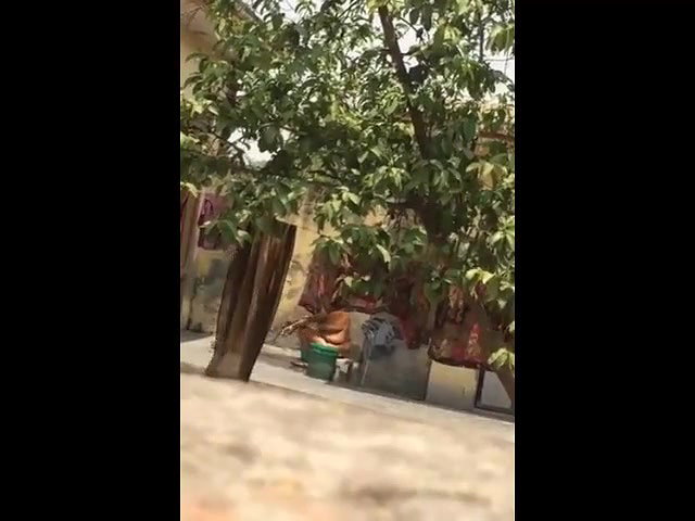 Indian Bhabhi Secret Shower – Movies