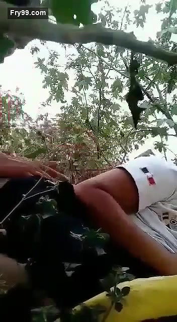 Jungle fucking with moans