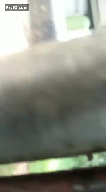 Desi lover  Outdoor fun