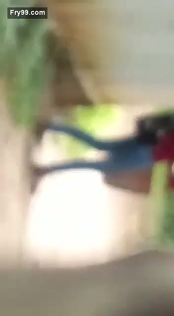 Desi lover  Outdoor fun