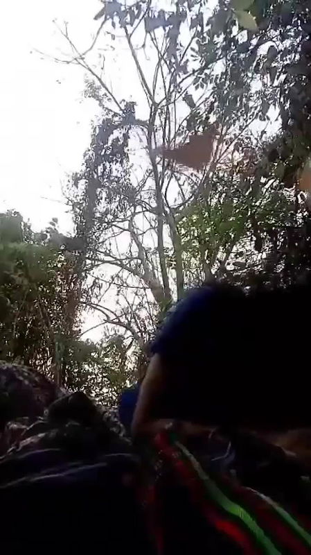 VID-204458-WA46145146