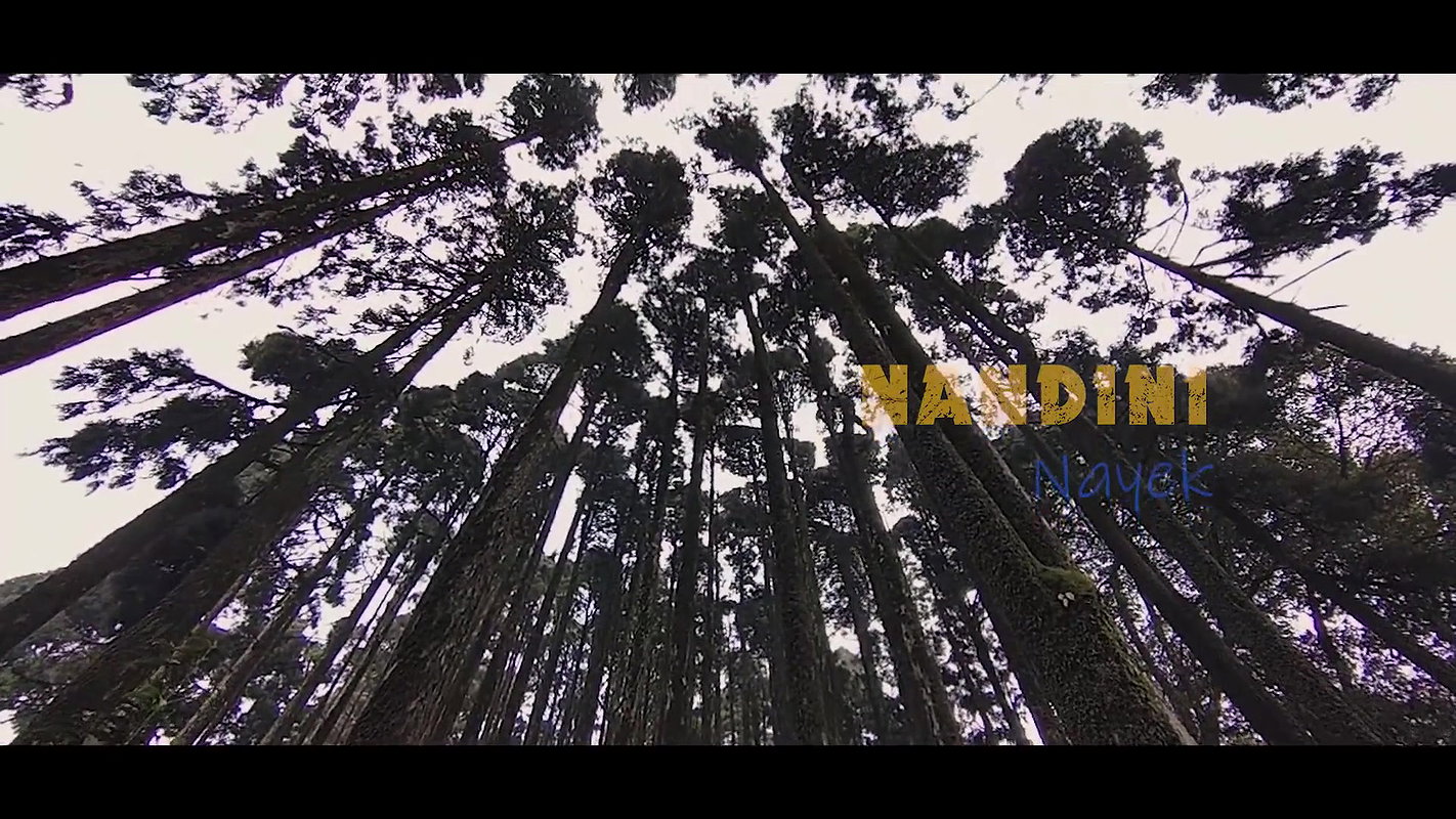 nandini nayak ft huge boobs show full HD cum worthy