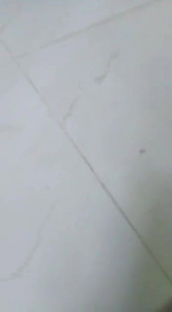 Shaved Mallu Pussy Fucking MMS