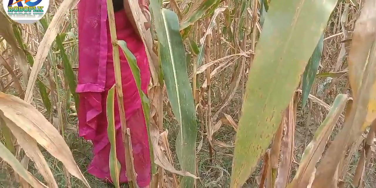 Mangal brother-in-law and sister-in-law have sex in the forest and their breasts are milked and squirted