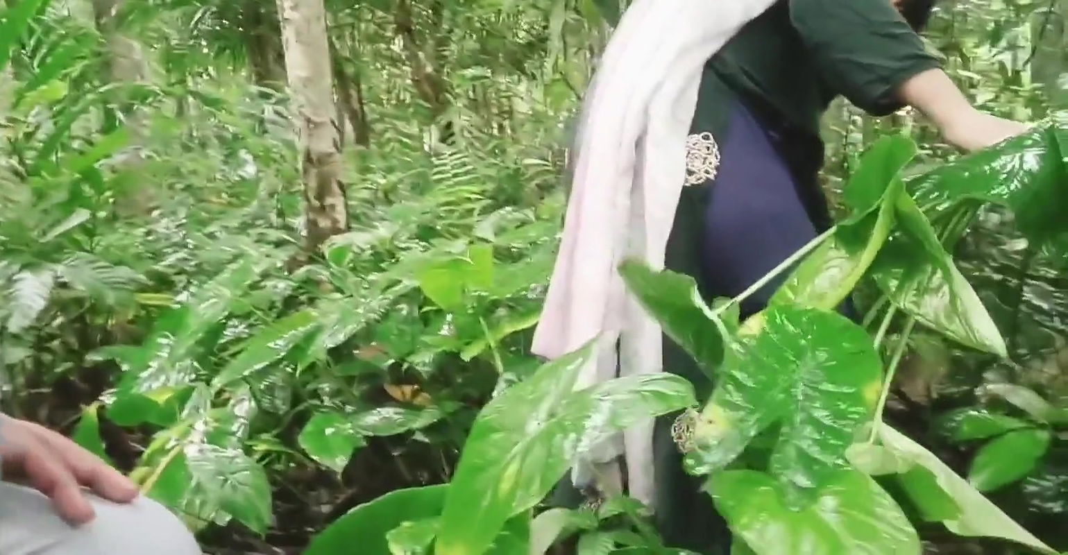 I Took My Aunty to the Garden and Persuaded Her to Have Sex