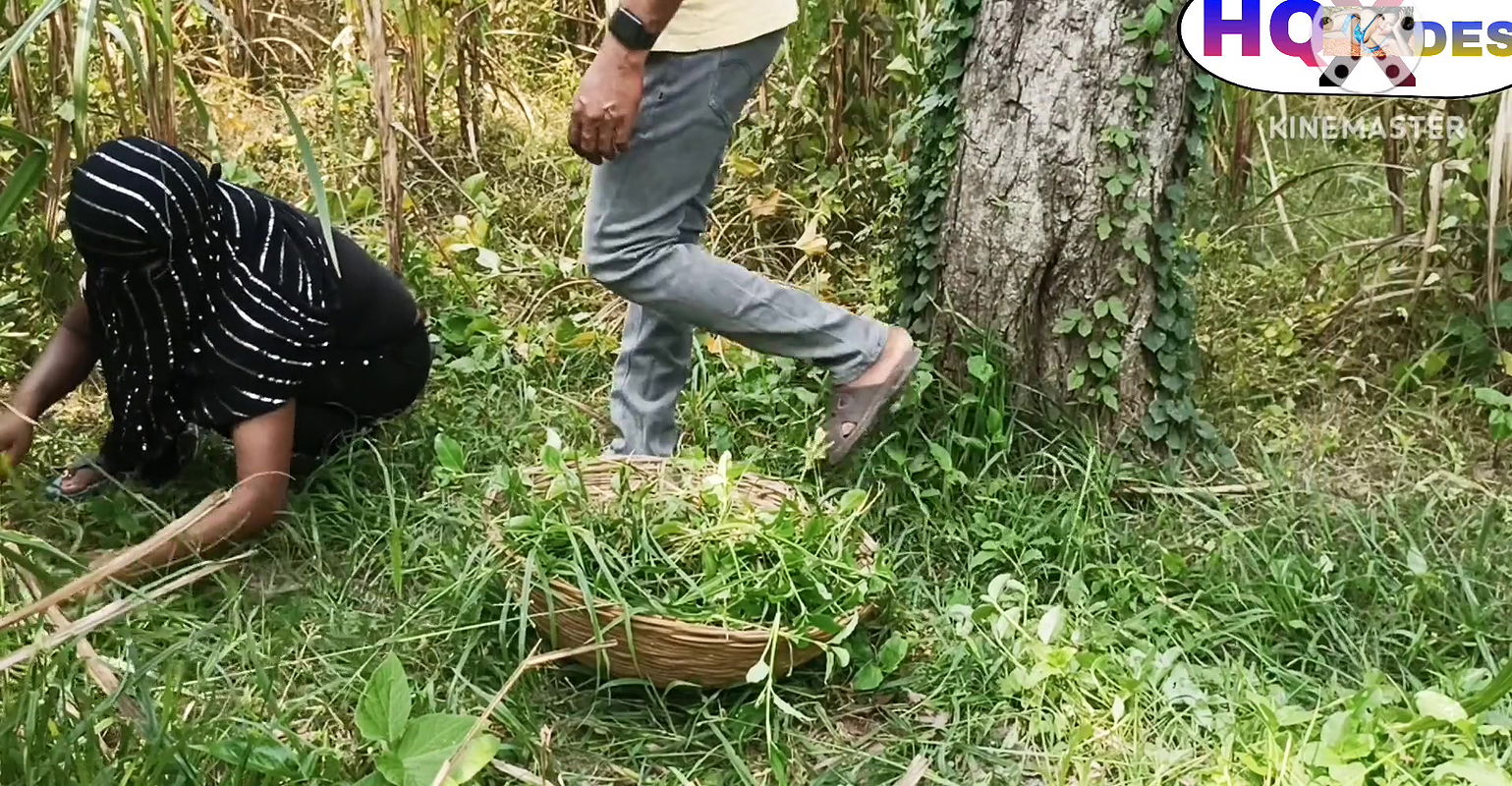 Desi girl who cuts grass gets fucked in the forest. Boy makes her into a mare and fucks her. HQ XDESI