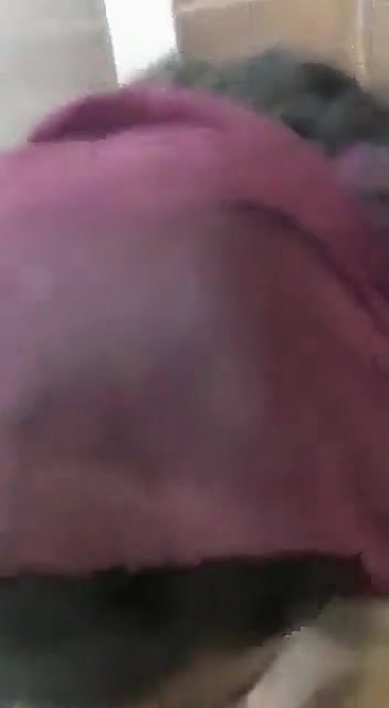 Desi Babe Giving Blowjob