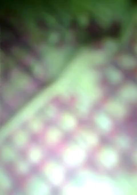 Village girl shaved Pussy fucked