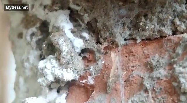 Desi collage lover fucking outside collage video 4