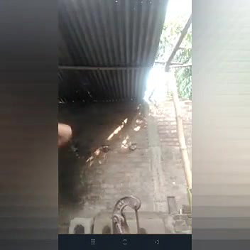 Village bhabhi on vc