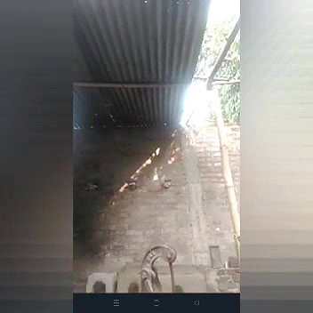 Village bhabhi on vc