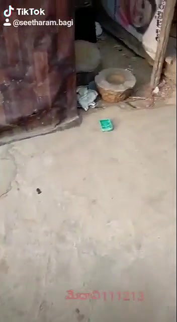 Village lover fucking