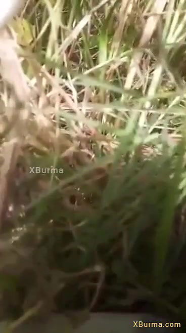 Village burma girl fucking outdoor with toy condom