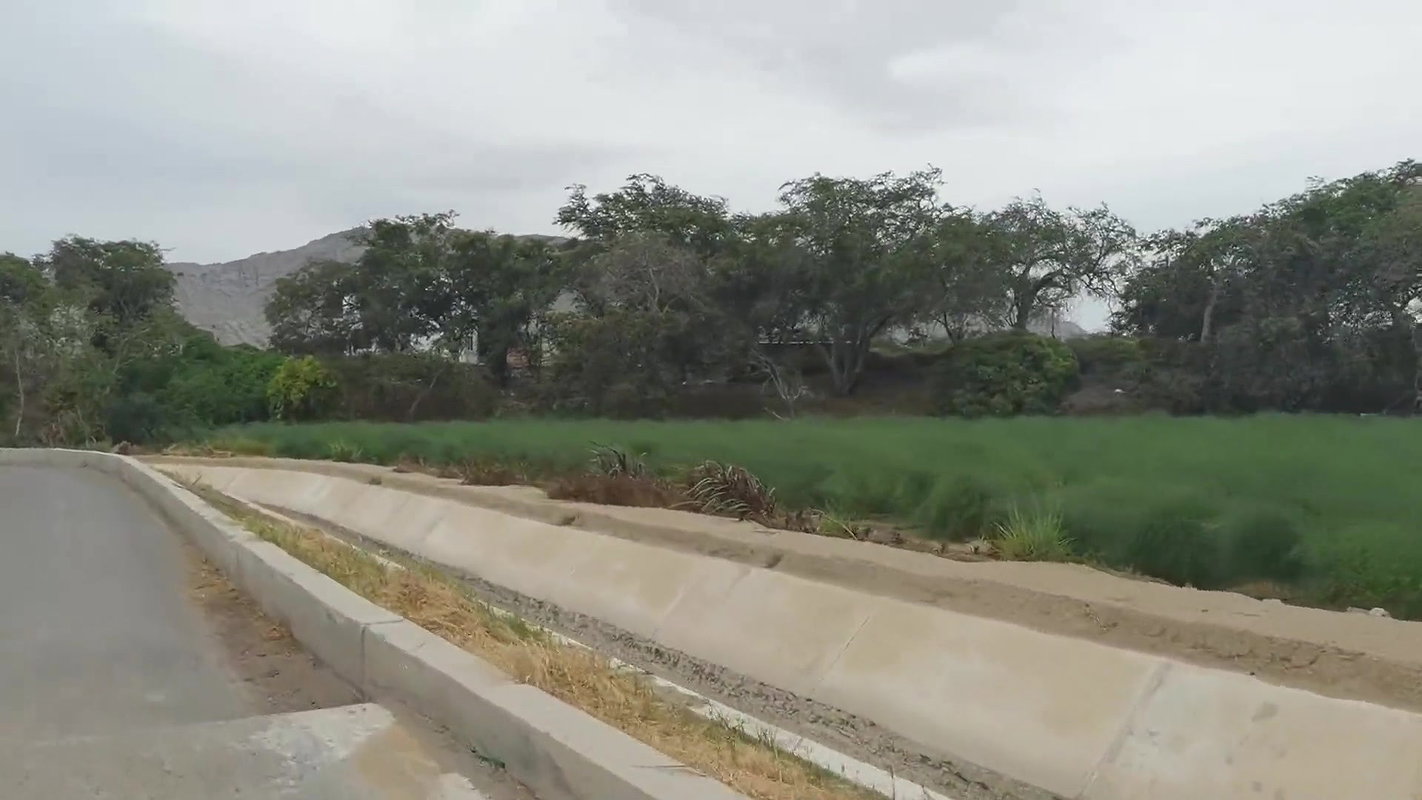 the day of the picnic ended in uncontrolled and anal sex