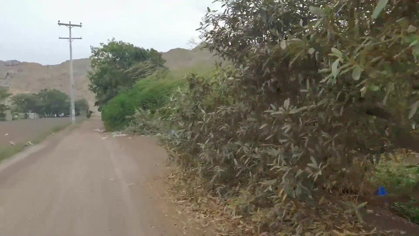 the day of the picnic ended in uncontrolled and anal sex