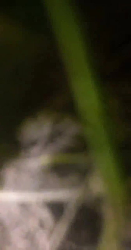 Village lady shaved pussy fucking