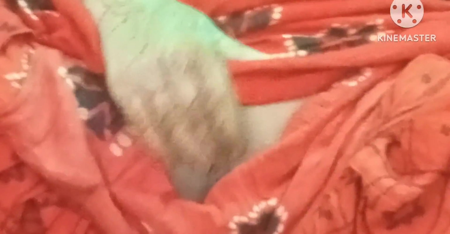 First time Face show up Podosi Bhabhi ko Zamkar Chudai kiya