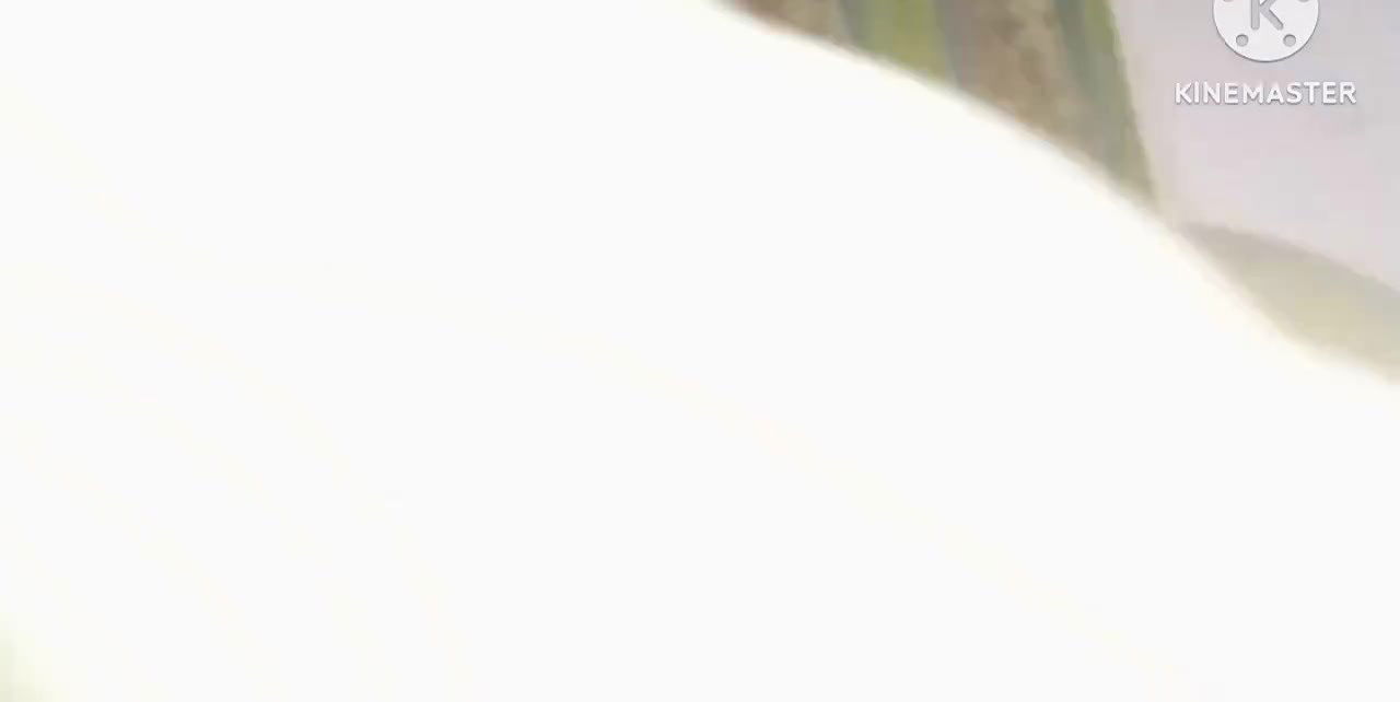 Desi hot fucking video