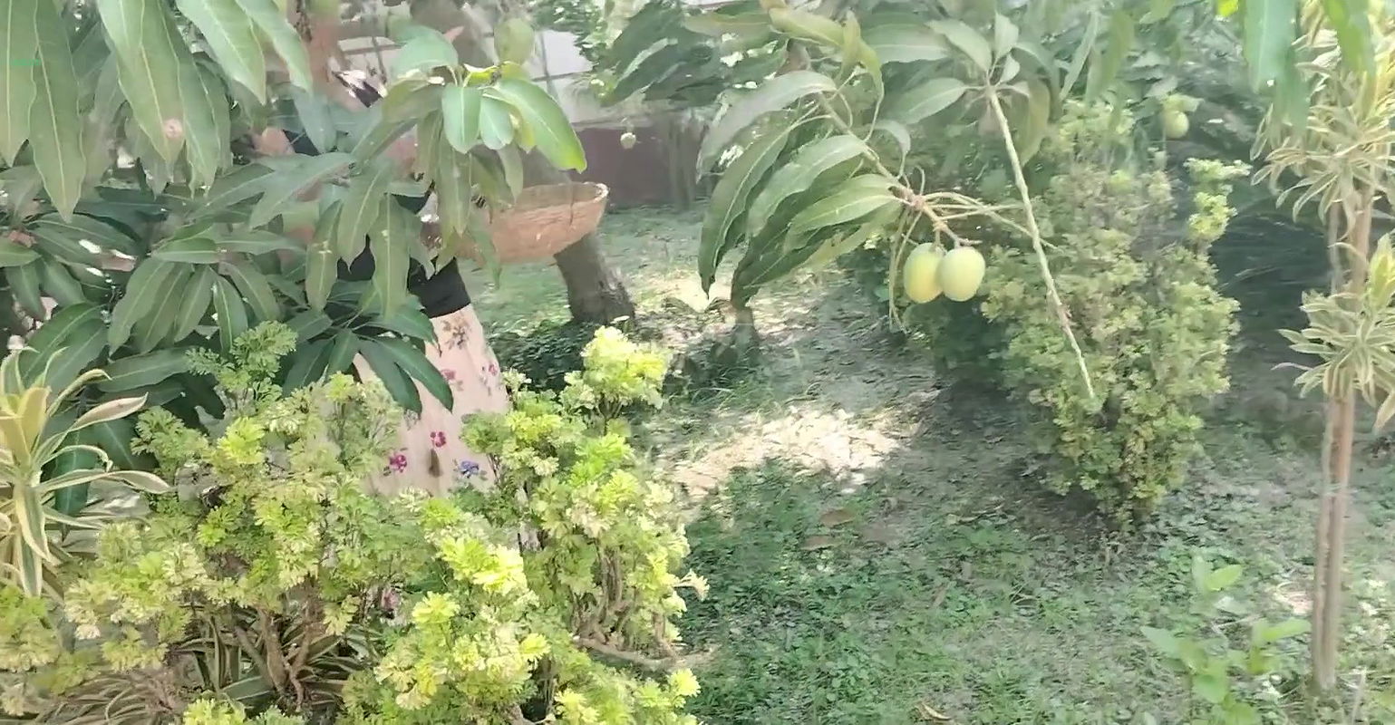 Please, Don’t fuck me! Indian Village Sex