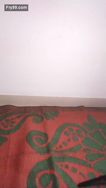 Chinu minu Super Nude Show