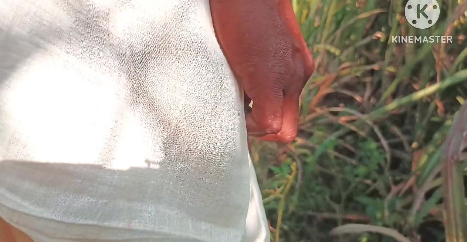 Desi paddy harvesting, new daughter-in-law’s father-in-law fucked. Hindi conversation. HQ XDES