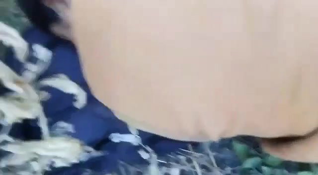 Doggy in jungle