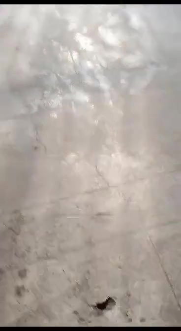 Paid randi riding, another man recording