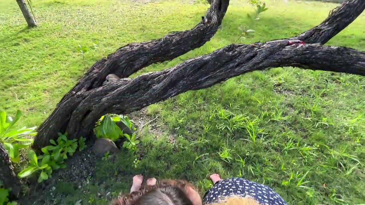 Poly_Triad Onlyfans collection – 1