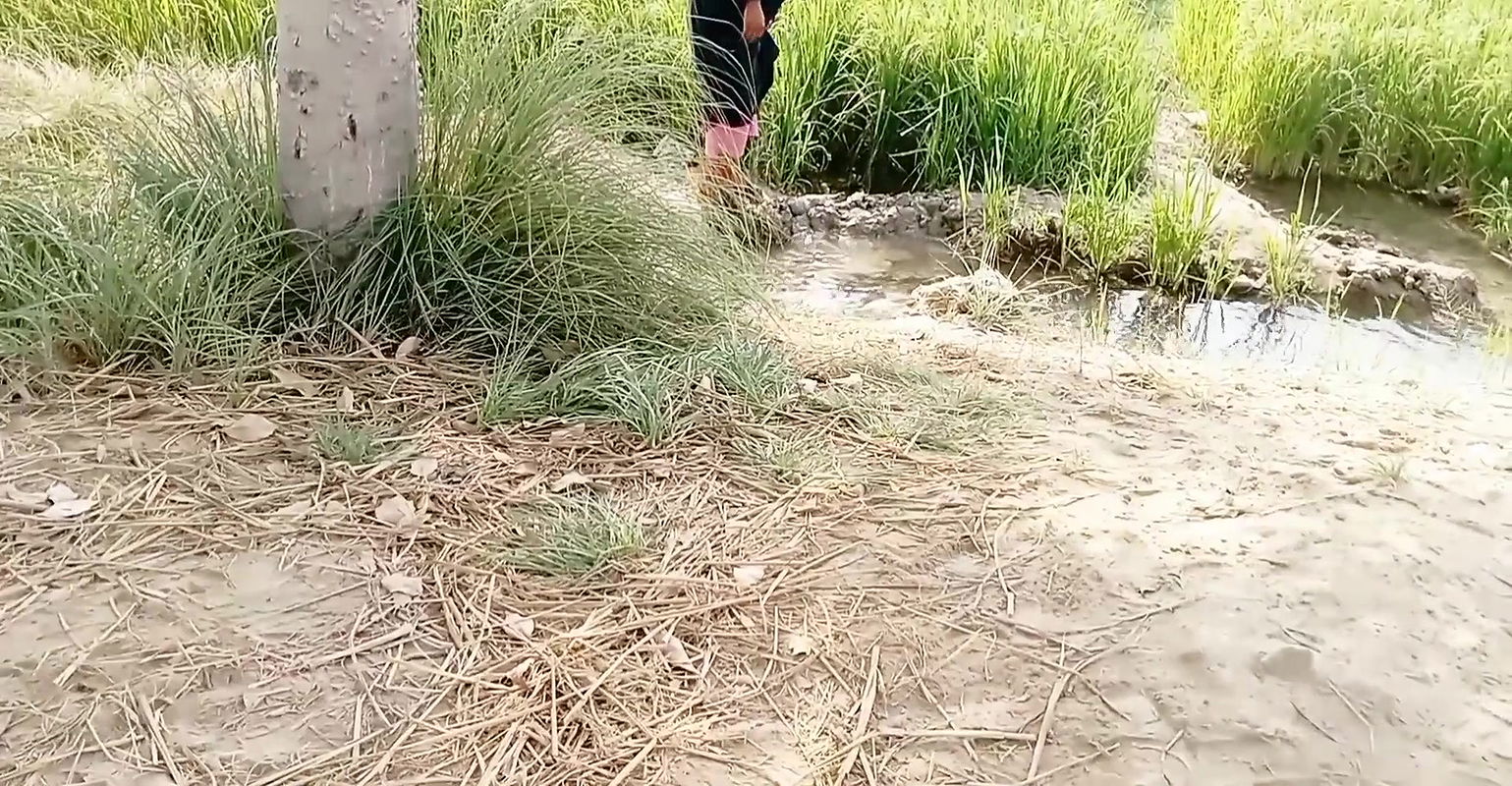 Muslim Randi girl road pa khari ho ker logon se chodwa Rahi thi ma ne bhi chod Dala aur gand phar di