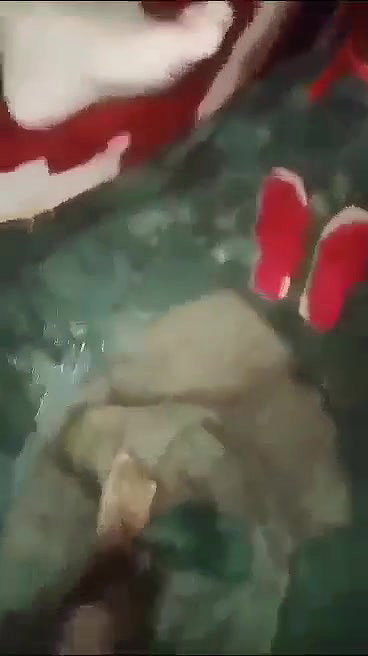 Hot clckhold husband