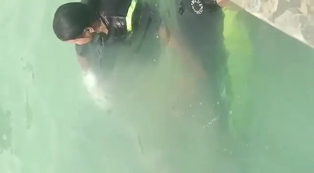 Aunty Giving Handjob to Husband in Public Pool