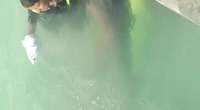 Aunty Giving Handjob to Husband in Public Pool