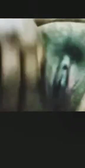Bhabi Showing Pussy