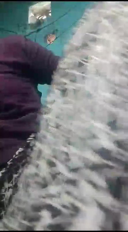 Indian Village Wife Shows Her Boobs an Pussy